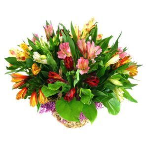 Kosz Kolorowych Alstromerii