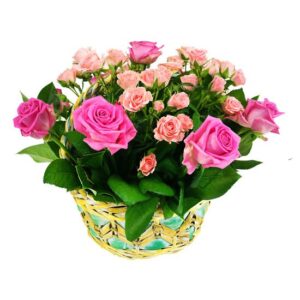 Kosz Różowy Ogród